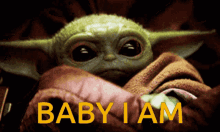 Yoda Baby GIF - Yoda Baby Baby Yoda GIFs