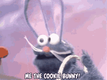 Cookie Bunny GIF - Cookie Bunny GIFs