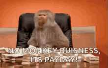 Monkey Money GIF - Monkey Money Throw GIFs
