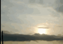 morning sun