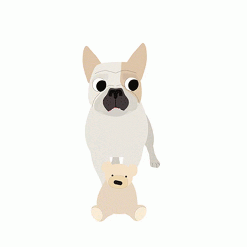 Frenchie Dog GIF - Frenchie Dog Puppy GIFs