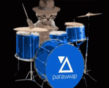 Paraswap Crypto GIF - Paraswap Crypto Cat GIFs
