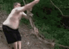 telobos fail swing telobos fail swing