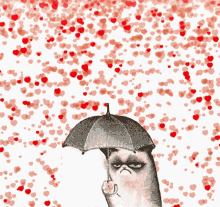 Lovebomb Grumpy GIF - Lovebomb Grumpy Cat GIFs