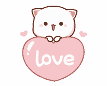 love ilu cat mochi peach cat heart