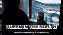 Queen In The North Sansa GIF - Queen In The North Sansa Go T GIFs