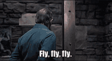 lecter fly