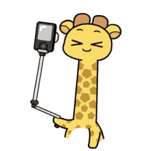 Selfie Giraffe GIF - Selfie Giraffe GIFs