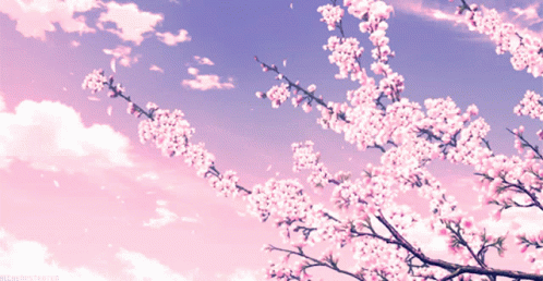 Cerisier Fleur Cherry Blossom GIF - Cerisier Fleur Cherry Blossom Japan GIFs