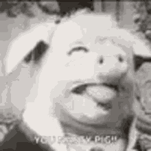 Pig Licking GIF - Pig Licking You Nasty Pig GIFs
