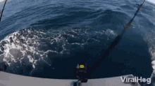 Whale Breach GIF - Whale Breach Ocean GIFs