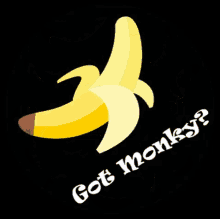 Monkyshop Monkywear GIF - Monkyshop Monky Monkywear GIFs