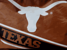 Hookem Texas GIF - Hookem Texas Logo GIFs