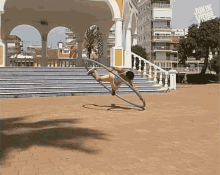 Jumping Front Flip GIF - Jumping Front Flip Ring GIFs