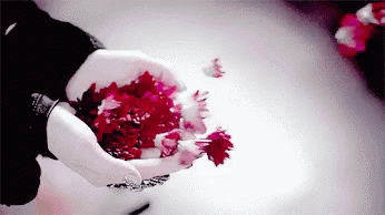 Flowers Petals GIF - Flowers Petals Windy - Discover & Share GIFs