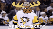 Pittsburgh Penguins Are You Okay GIF - Pittsburgh Penguins Penguins Are You Okay GIFs