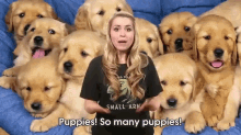 So Many Puppies, So Little Time GIF - Puppies Source Fed Funny GIFs
