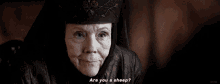 game of thrones got lady olenna are you a sheep