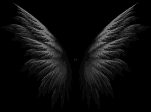 Wings Dark GIF - Wings Dark Animation GIFs