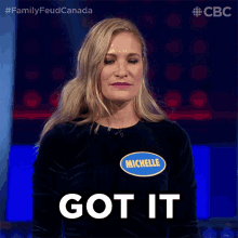 Got It Family Feud Canada GIF - Got It Family Feud Canada Understood GIFs