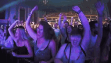 concert fans crowd fangirls happy