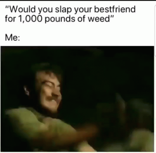 Would You Slap Your Best Friend For Weed Gif Would You Slap Your Best Friend For Weed Discover Share Gifs
