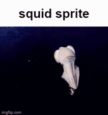 Squid Sprite Tmod GIF - Squid Sprite Squid Sprite GIFs
