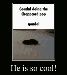 Choppcord Choppcordpop GIF - Choppcord Cord Choppcordpop GIFs
