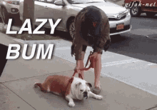 Lazy Bum GIF - Lazy Bum Dog GIFs