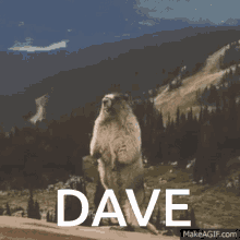 Dave Yell Dave GIF - Dave Yell Dave Dave Beaver GIFs