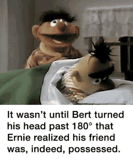 Bert And Gif Bert And Ernie Discover Share Gifs