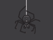 spider phandelver
