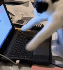 Busycat Typing GIF - Busycat Typing GIFs