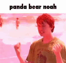 panda bear noah animal collective noah lennox panda bear panda bear noah animal collective noah lennox panda bear