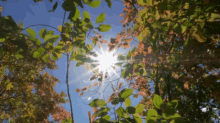 autumn fall october portland oregon autumn fall october portland oregon