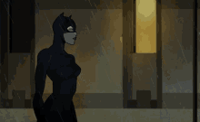 Batman Catwoman GIF - Batman Catwoman Cartoon GIFs