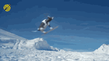 Cow Snowboarding GIF - Cow Snowboarding Cow Snowboarding GIFs