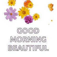 Good Morning Beautiful Great Day GIF - Good Morning Beautiful Great Day Flowers GIFs