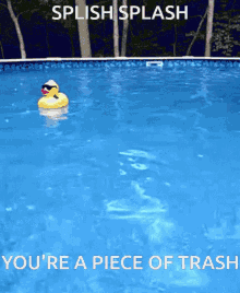 Insult Quirky GIF - Insult Quirky Useful GIFs