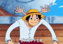 Luffy Chopper GIF - Luffy Chopper Onepiece GIFs
