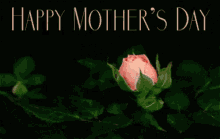Happy Mother Day Greetings GIF - Happy Mother Day Greetings Flower Bloom GIFs