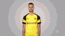 Bvb Dortmund GIF - Bvb Dortmund Borussia GIFs