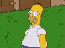 Homer Disappear GIF - Homer Disappear Bush GIFs