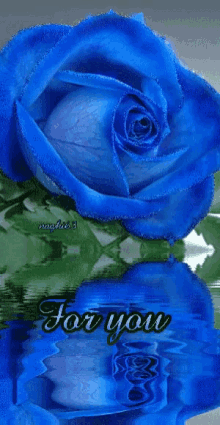 Blue Rose GIF - Blue Rose Water GIFs