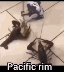 Pacific Rim Meme GIF - Pacific Rim Meme Toy GIFs