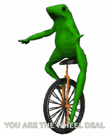 Frog Wheel GIF - Frog Wheel Unicycle GIFs
