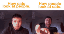 Cats People GIF - Cats People Look GIFs