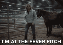 Im At The Fever Pitch Dancing GIF - Im At The Fever Pitch Dancing Horse GIFs