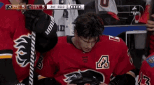 calgary flames