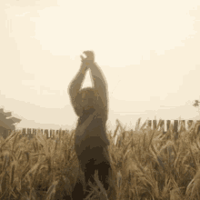 Lawlessstreet Roleplay GIF - Lawlessstreet Roleplay Red Dead Redemption GIFs